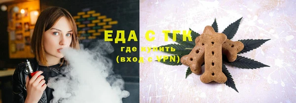индика Кодинск