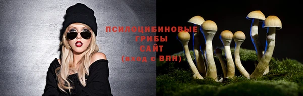 стафф Козельск