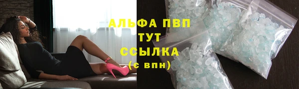 стафф Козельск