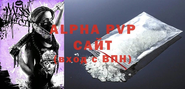 индика Кодинск