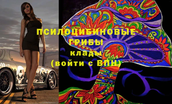 стафф Козельск