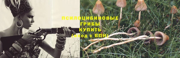 ешки Коряжма