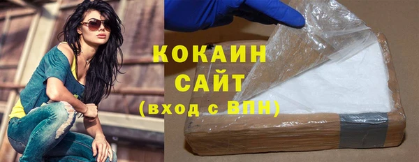 индика Кодинск